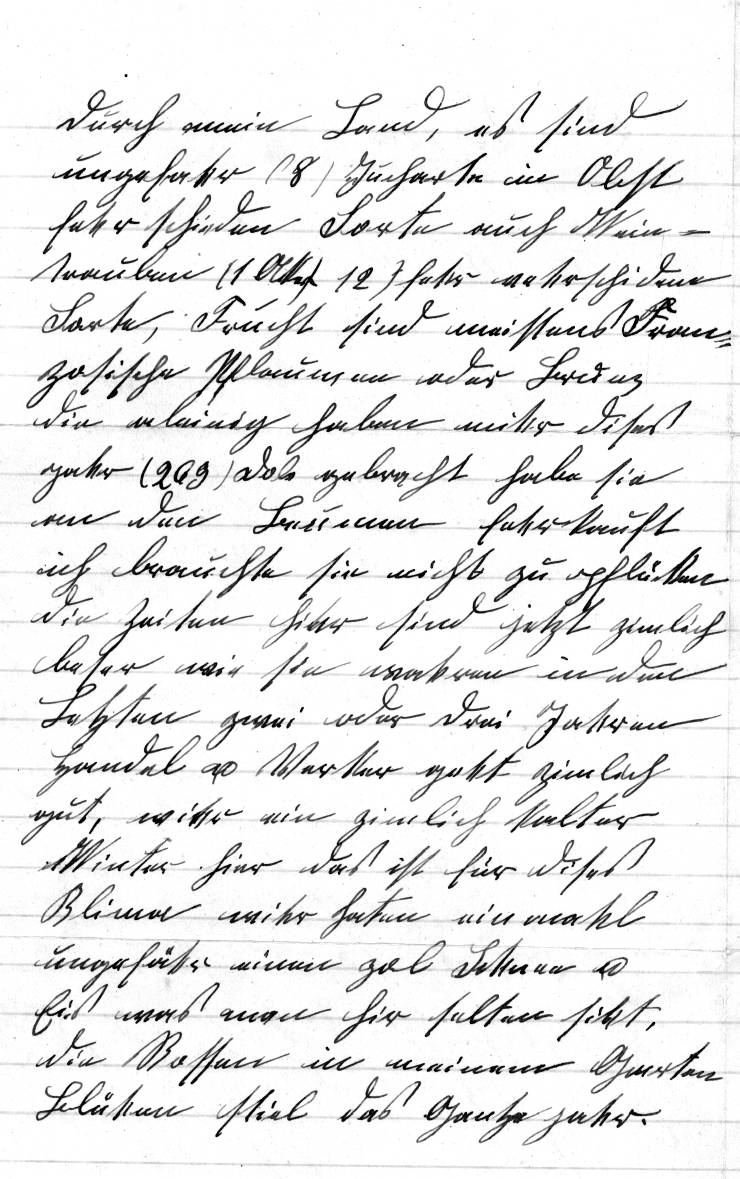Brief des Auswanderers Josef Schnider von Flühli, 1898 - Seite 2